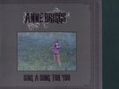 ANNE BRIGGS - SING A SONG FOR YOU - LP - BO' WEAVIL