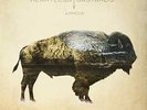 HEARTLESS BASTA-ARROW  VINYL LP NEW
