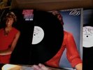 2 MINT-  WLP PROMO Lp albums The Bee Gees Andy Gibb AFTER DARK & SHADOW DANCING