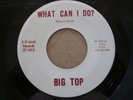 Big Top - What Can I Do? RARE Private Funk 45 5 O'Clock Records *Listen*