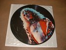 LED ZEPPELIN lp picture disc 1972 Interview jimmy page