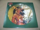 ## VINYL ALBUM RECORD,CHER,TAKE ME HOME LP PICTURE DISC,1979 CASABLANCA RECORDS