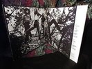 RARE GERMAN 1970 Orig = THE GOLDEN EARRING   WALL OF DOLLS = Hard Prog PSYCH a+