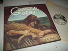 GRATEFUL DEAD - Wake Of The Flood, Original 1973 LP VINYL IS NM
