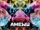 Amewu - Entwicklungshilfe Vinyl 2LP NEU Team Avantgarde Edit