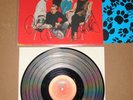 The B-52`s B52s LP - Wild Planet (gereinigt) - signiert - signed - Autogramme