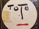 TOTO Turn Back PICTURE DISC Promo Only Vinyl 1981 Columbia