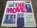 THE MOVE - I CAN HEAR THE GRASS GROW 7