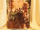 Fleetwood Mac ?– Mr. Wonderful 1968 Vinyl LP Laminated Cover Made in England