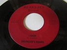 SHEPPARD'S HEARD  OHIO GARAGE 45 STARLITE RECORDS I KNOW RCA CUSTOM