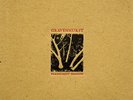 Gravenhurst - Flashlight Seasons Vinyl LP + Digital NEU 0552469