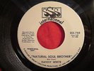 DANNY WHITE 45 Natural Soul Brother SSS INTL northern soul funk PROMO
