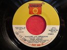 EDDIE HODGES 45 Shadows And Reflexions SUNBURST psych rock PROMO