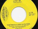 13th FLOOR ELEVATORS 