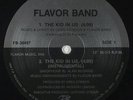Flavor Band - I Wanna Dance With You 12