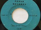 SAM THE REGGAE MAN - Esa es mi chica - RARE PANAMA DANCEHALL