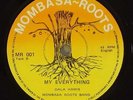 Dala Hamis & Mombasa Roots Band 