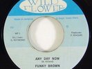 Funky Brown 