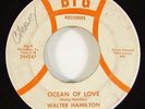 Walter Hamilton 