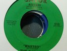 Funk 45 THE GATURS Wasted / Gator Bait GATUR (USA, 1971)