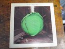 METERS Cabbage Alley LP REPRISE promo 70s funk VG+ nice WLP Toussaint