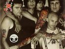 Assault and Battery  Rose Tattoo Vinyl Record