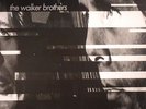 WALKER BROTHERS, The - Nite Flights (reissue) - Vinyl (LP)