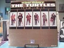 Turtles 