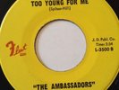 Ambassadors - Too young for me