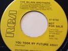 The Wilson Brothers - You took my future away