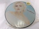 MADONNA *THE LOOK OF LOVE* VERY RARE 1987 PICTURE DISC 12 INCH