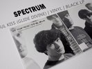 SPECTRUM | Soul Kiss (Glide Divine) | RARE 2012 Vinyl LP Reissue | Spacemen 3 |