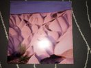 AUTECHRE Amber 2LP Vinyl IDM Techno Aphex Twin