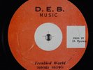 DENNIS BROWN Troubled World / The Half 12