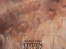 AGNES OBEL - CITIZEN OF GLASS   VINYL LP NEU