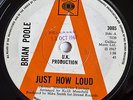 BRIAN POOLE - JUST HOW LOUD / OTHER SIDE OF THE SKY 7