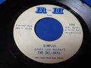 THE DEL-RAYS Dimples / Fortune Teller  R and H  Org 1965 SURF Twang 45 RARE