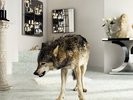 GRINDERMAN - GRINDERMAN 2 LP 33 NUOVO