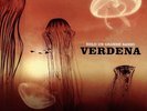 Solo Un Grande Sasso (2001) [Vinile] Verdena …