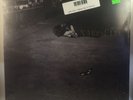 John Zorn - Naked City LP NEW reissue Bill Frisell