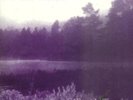 In The Woods - Heart Of Ages [Vinyl New]