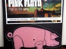 PINK FLOYD - RARE IMPORT PIGS SHAPED PICTURE DISC 7