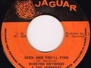 jaguar 7
