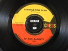 JO ANN GARRETT 