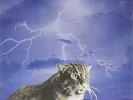 Smog-Knock Knock  VINYL NEW