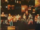 Split Enz 