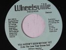 WILL HATCHER: You Haven't Seen Nothin' Yet / Ain't That Loving You 45 Hear  (li