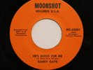 Sandy Gaye - He's Good For Me / Talk Is Cheap 45 on Moonshot Funk/Deep Soul HEAR