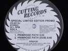 HASHIM Primrose Path CUTTING 12