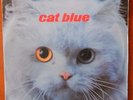 LP Cat Blue    -    Salsa Colombia    ???